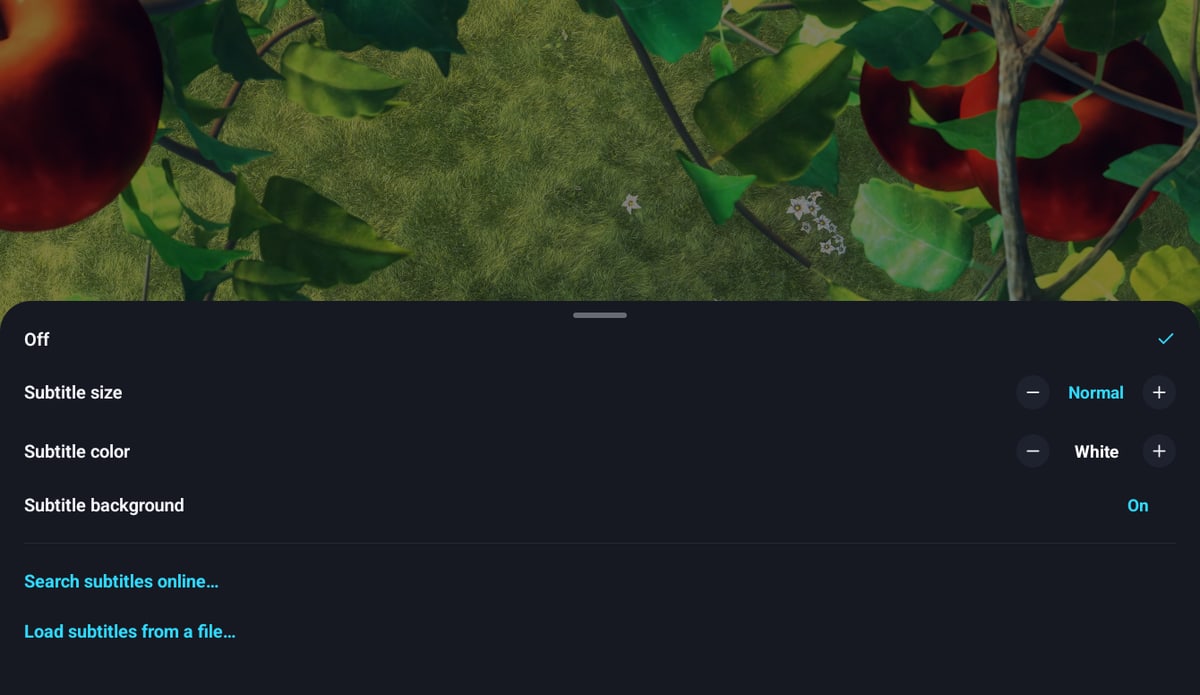 The subtitle menu of the player with Load subtitles from a file